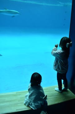 アクアワールド茨城県大洗水族館に投稿された画像（2023/4/23）