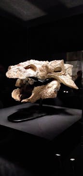 特別展「恐竜博2023」に投稿された画像（2023/4/23）