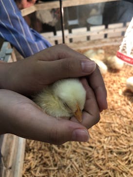 アニタッチみなとみらいに投稿された画像（2023/4/23）