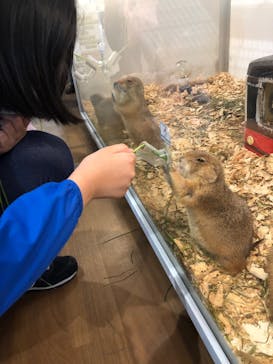 アニタッチみなとみらいに投稿された画像（2023/4/23）