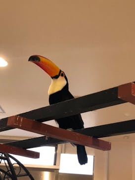 アニタッチみなとみらいに投稿された画像（2023/4/23）