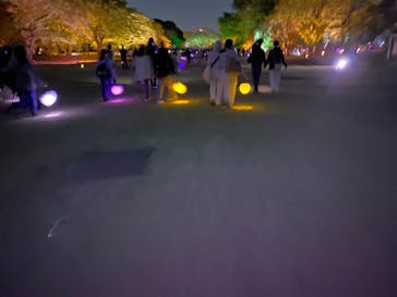 NAKED 桜の新宿御苑 2023に投稿された画像（2023/4/23）