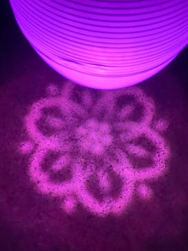 NAKED 桜の新宿御苑 2023に投稿された画像（2023/4/23）