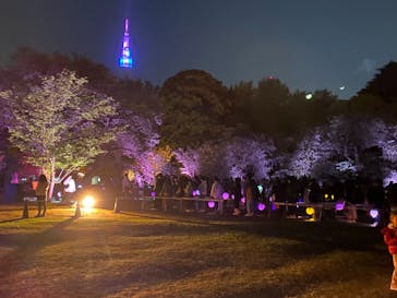 NAKED 桜の新宿御苑 2023に投稿された画像（2023/4/23）