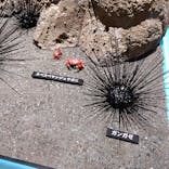 あべのハルカス美術館に投稿された画像（2023/4/23）