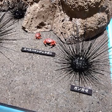 あべのハルカス美術館に投稿された画像（2023/4/23）