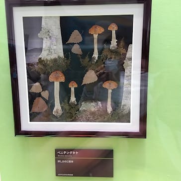 あべのハルカス美術館に投稿された画像（2023/4/23）