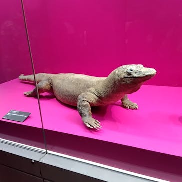 あべのハルカス美術館に投稿された画像（2023/4/23）