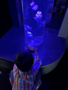 サンシャイン水族館に投稿された画像（2023/4/23）