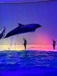 アクアワールド茨城県大洗水族館に投稿された画像（2023/4/23）