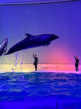 アクアワールド茨城県大洗水族館に投稿された画像（2023/4/23）