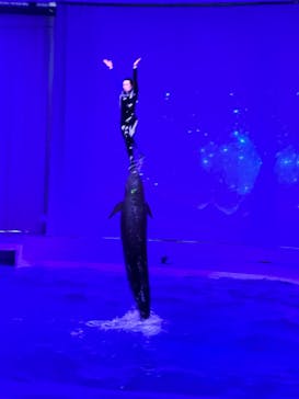 アクアワールド茨城県大洗水族館に投稿された画像（2023/4/23）