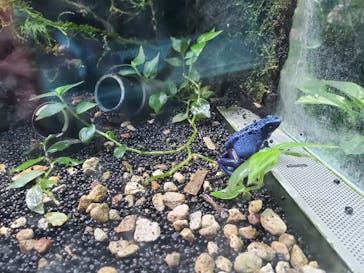 カワスイ 川崎⽔族館に投稿された画像（2023/4/23）