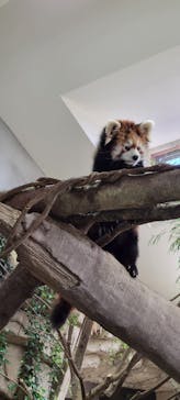 那須どうぶつ王国に投稿された画像（2023/4/23）