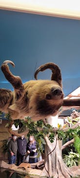 那須どうぶつ王国に投稿された画像（2023/4/23）