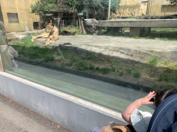 東武動物公園に投稿された画像（2023/4/23）