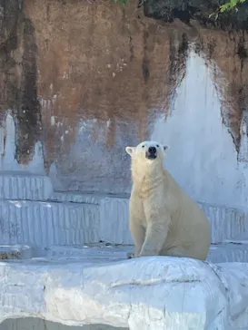 天王寺動物園に投稿された画像（2023/4/23）