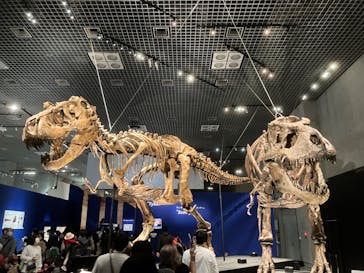 特別展「恐竜博2023」に投稿された画像（2023/4/23）