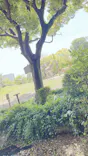 天王寺動物園に投稿された画像（2023/4/23）