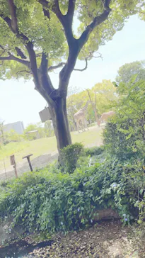 天王寺動物園に投稿された画像（2023/4/23）