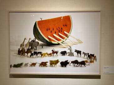 MINIATURE LIFE展 ー田中達也 見立ての世界ーに投稿された画像（2023/4/23）