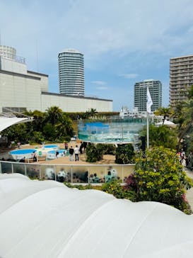 サンシャイン水族館に投稿された画像（2023/4/23）