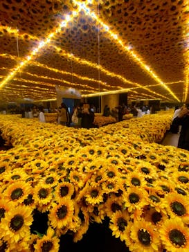 ゴッホ・アライブ神戸に投稿された画像（2023/4/23）