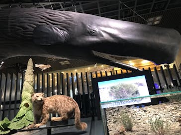 国立科学博物館に投稿された画像（2023/4/23）