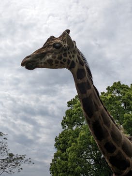 長崎バイオパークに投稿された画像（2023/4/23）