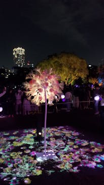 NAKED 桜の新宿御苑 2023に投稿された画像（2023/4/23）