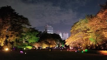 NAKED 桜の新宿御苑 2023に投稿された画像（2023/4/23）