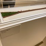 MINIATURE LIFE展 ー田中達也 見立ての世界ーに投稿された画像（2023/4/23）