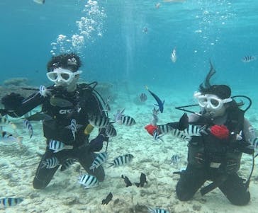 青の洞窟専門店　沖縄ダイビングショップ和に投稿された画像（2023/4/23）