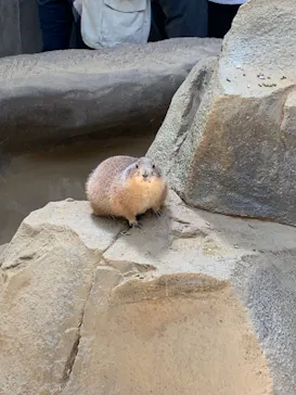 神戸どうぶつ王国に投稿された画像（2023/4/23）