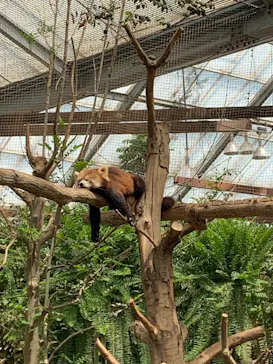 神戸どうぶつ王国に投稿された画像（2023/4/23）