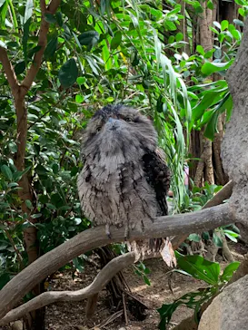 神戸どうぶつ王国に投稿された画像（2023/4/23）