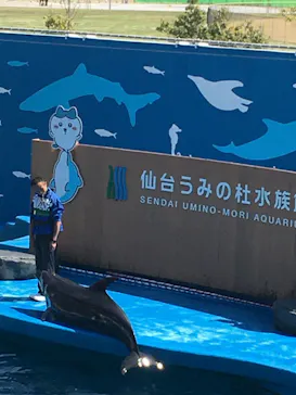 仙台うみの杜水族館に投稿された画像（2023/4/23）