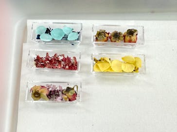 ずこうしつ〜sugamo〜に投稿された画像（2023/4/23）