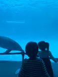 名古屋港水族館に投稿された画像（2023/4/23）