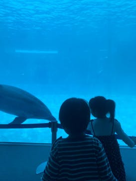 名古屋港水族館に投稿された画像（2023/4/23）