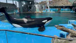 名古屋港水族館に投稿された画像（2023/4/23）