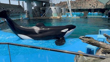 名古屋港水族館に投稿された画像（2023/4/23）