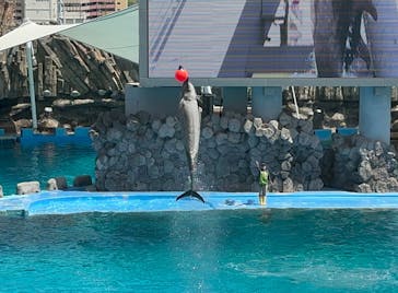 名古屋港水族館に投稿された画像（2023/4/23）