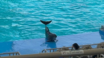 名古屋港水族館に投稿された画像（2023/4/23）