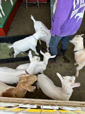 ワールド牧場に投稿された画像（2023/4/23）