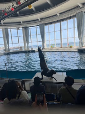 アクアワールド茨城県大洗水族館に投稿された画像（2023/4/23）