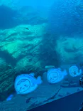 仙台うみの杜水族館に投稿された画像（2023/4/23）
