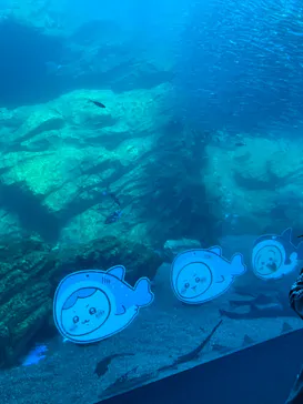 仙台うみの杜水族館に投稿された画像（2023/4/23）