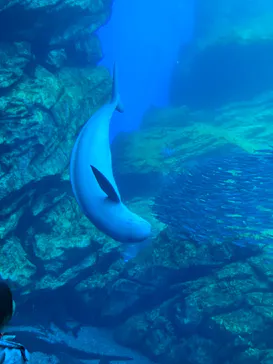 仙台うみの杜水族館に投稿された画像（2023/4/23）