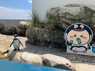 仙台うみの杜水族館に投稿された画像（2023/4/23）